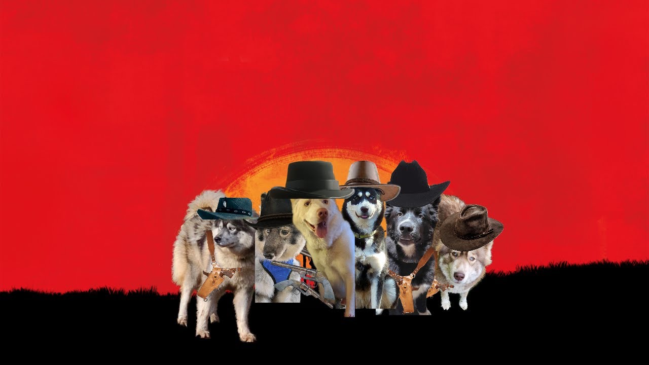 Rdr2 Dogs Red Dog Redemption Compilation 2 (Headphone Warning) (RDR2 With dogs ...