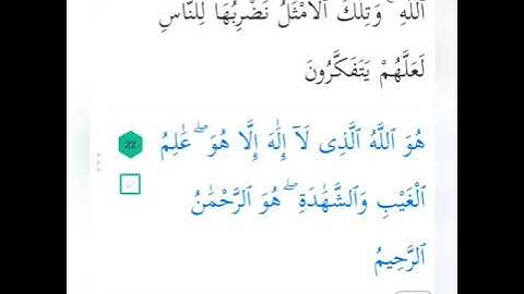 اخر سورة الحشر القارئ العفاسي
