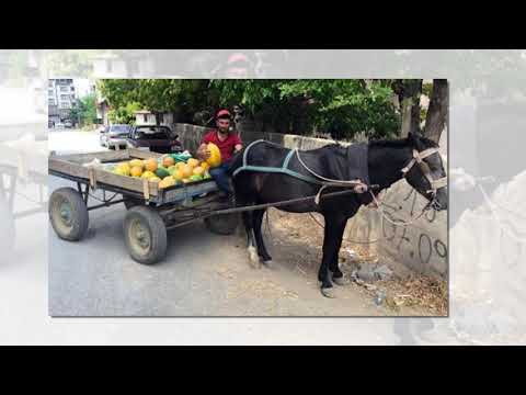 PAYAMCALI GILFAN Yanarım