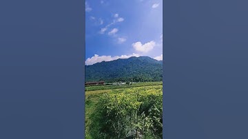 Thumbnail of PEMANDANGAN PEDESAAN SEJUK DI PAGI HARI #shorts #lyrics #music #unstoppable #desa #desaindah #song
