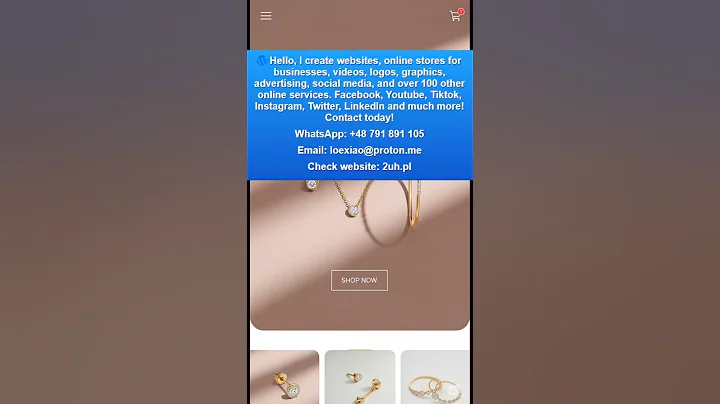 How to Build a Professional Website & Online Store in 2025 Shopify, WordPress, Wix, WooCommerce Site