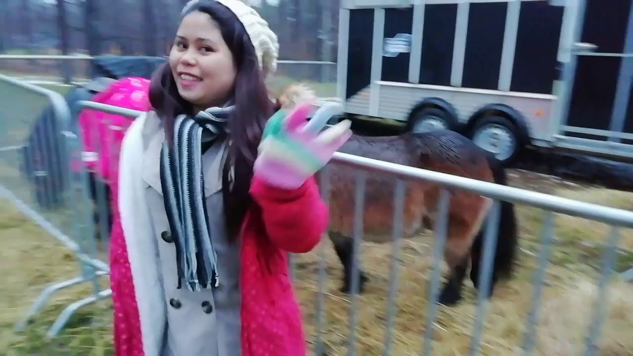 Christmass Market in town of Sarpsborg Norway be like