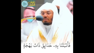 تلاوة خيالية للشيخ ياسر الدوسري😴♥️ | #تلاوات_القرآن