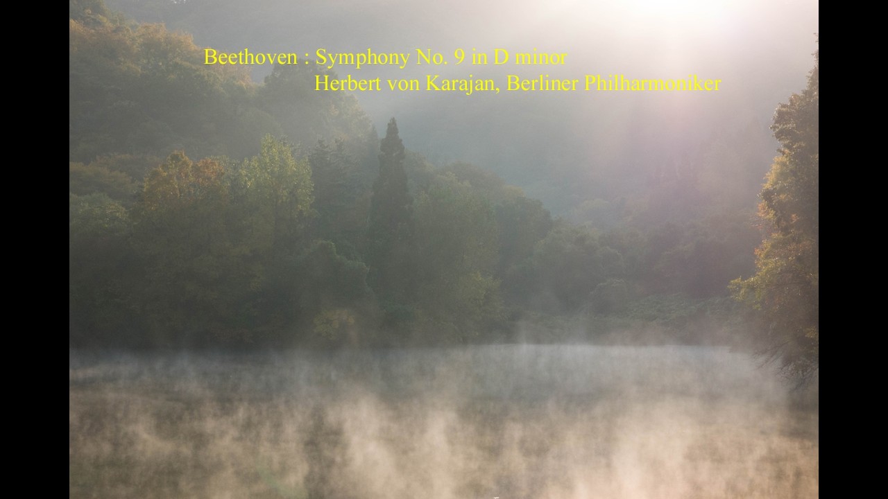 Beethoven : Symphony No. 9 in D minor. I - III