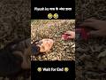 piyush ko घास के अंदर डाला 🤣 ll soirav joshi vlogs ll #souravjoshivlogs #youtubeshorts #shorts