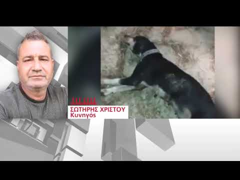 Βίντεο: Τυλενόλη (Ακεταμινοφαίνη) Δηλητηρίαση σε σκύλους