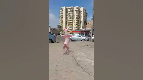 Video 7632921: kitten sphynx catlover cute, sphynx funny catlover kitten, sphynx cats catlovers, sphynx cute catlover dance, enjoy sphynx