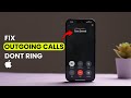 How To Fix An IPhone If Outgoing Calls Don T Ring How To Fix An IPhone If Outgoing Calls Don T Ring