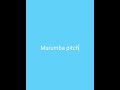 Murumba Pitch & Omit ST - Imvula (Official Audio) ft. Russell Zuma & Sipho Magudulela