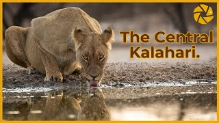 Into the Kalahari. A Botswana Safari Documentary