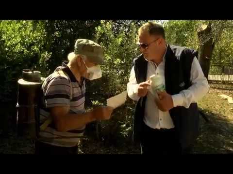 სამეგრელოს მოსახლეობას აზიური ფაროსანას წინააღმდეგ პრეპარატები დაურიგდა 04 10 17