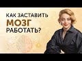 Эффективная работа мозга. Как управлять мозгом