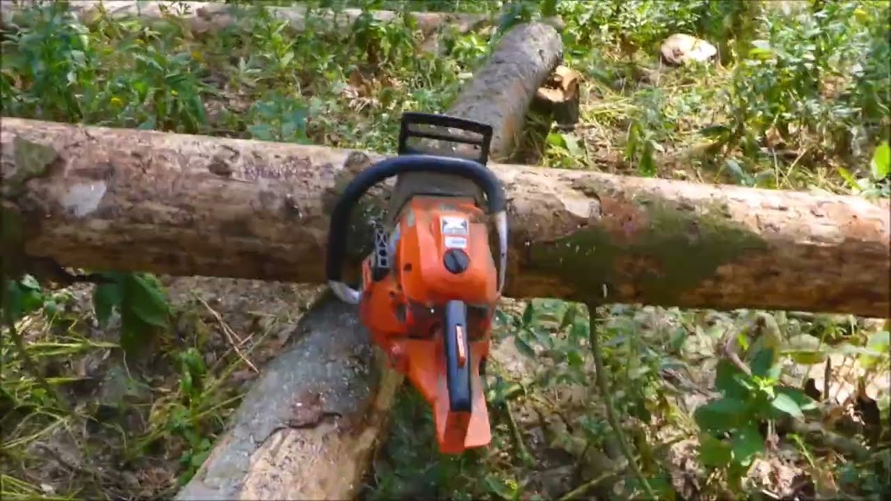 Forest job / Pokračování v těžbě ve svahu - Echo 501 SX 