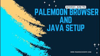 PALEMOON BROWSER AND JAVA SETUP FOR TRADERSCOCKPIT SOFTWARE screenshot 5