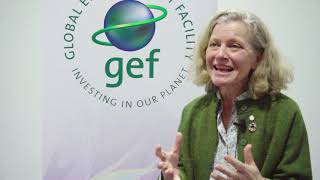 Interview with Emma Howard Boyd. Chair of UK Environment Agency, and GCA Commissioner
