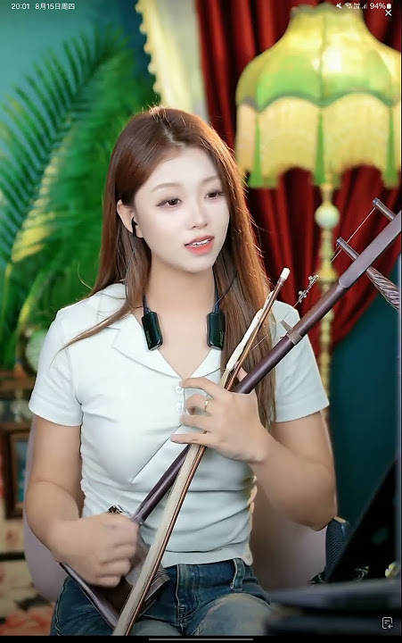 240815 08 Erhu Guitar 二胡吉他  二胡🍑沛瑶 Erhu 二胡
