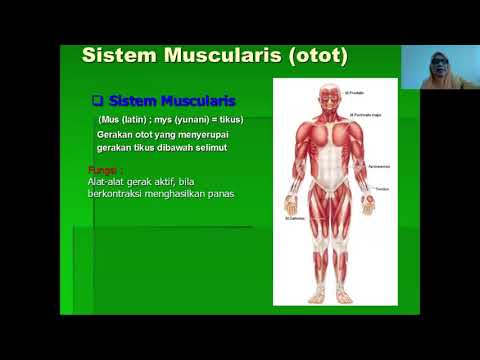 Video: Apakah dermatoplasti adalah istilah medis?