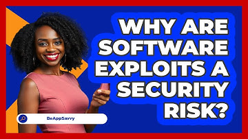 Why Are Software Exploits A Security Risk? - Be App Savvy