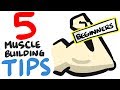 5 Muscle Building Tips For BEGINNERS