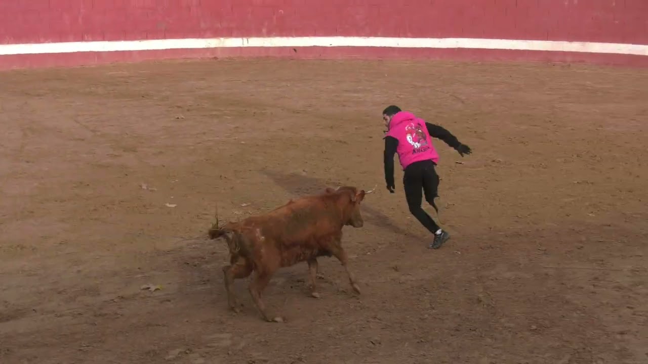 Capea Privada - Ganadería Alfonso Basarte