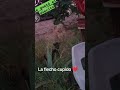 llego vicita con lo a vecina y alguien se voló ❤️❤️❤️❤️