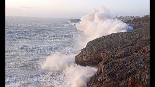 Restless Waves, Last Days