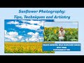 Sunflower Photography Tips, Technique & Artistry   HD 1080p