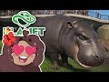 A Pair of PYGMY HIPPOS Arrive!! 🐼 Daily Planet Zoo! • Zoodesia! • Day 93