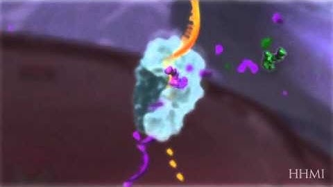 AZT Blocks Reverse Transcriptase