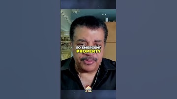 The Emergent Property of Consciousness: Exploring the Bird Flocking Analogy