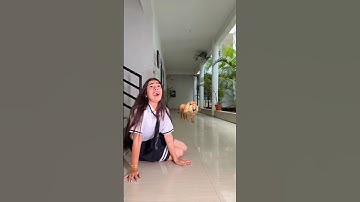 Tiger ghus gaya school Mai🐯🐅 #shorts