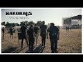 Hardballs - Я возвращаюсь (концертный клип)