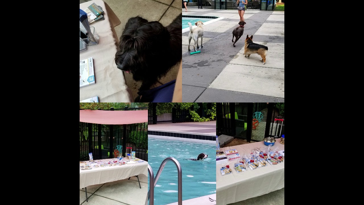 Work with Becky's Pet Care Inc. YouTube