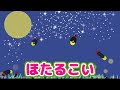 ほたるこい💫歌(歌詞付き)