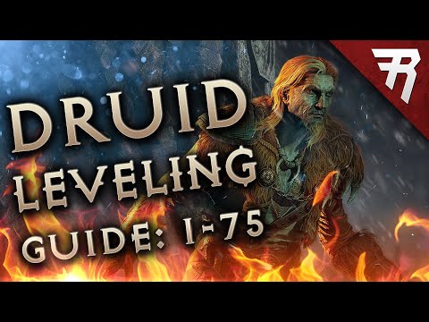 Druid Leveling Build