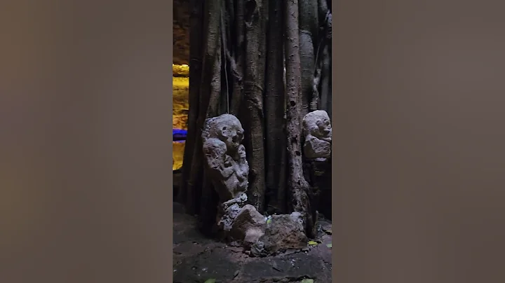 cenotes santa barbara, Merida Yucatan.