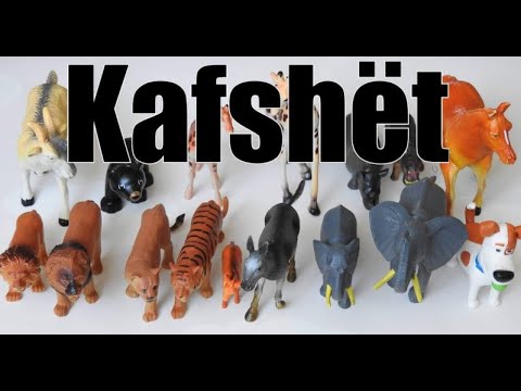 Kafshët në shqip.  Tingujt e kafshëve.  Video edukuese për fëmijë.  Abc shqip   Animals in albanian