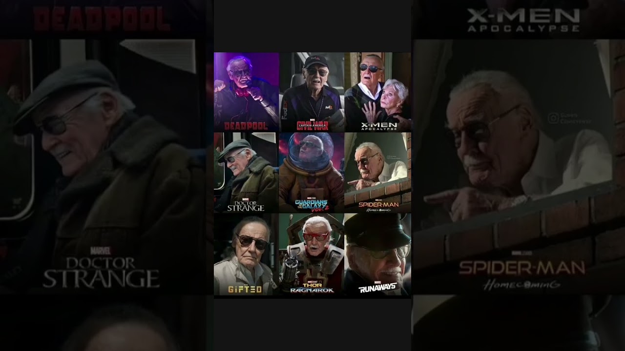 Stan Lee the Legend the Watcher of MCU