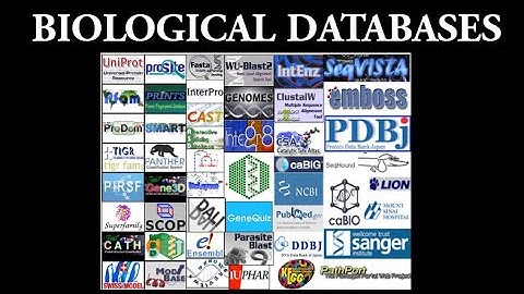 Bioinformatics Part 2/Biological databases