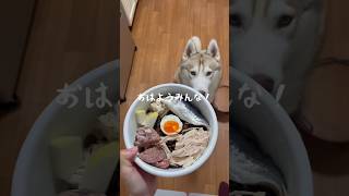 おれのあさごはん