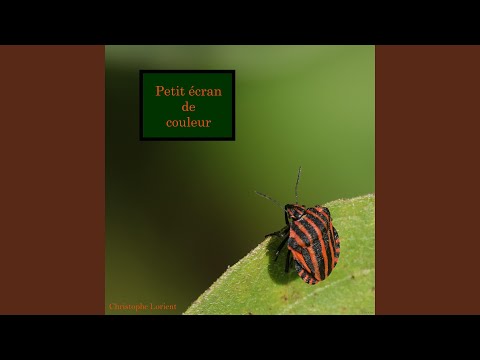 Petit écran de couleur (Radio Edit)