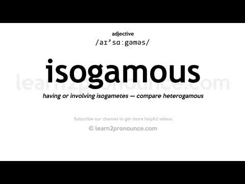 Pronunciation of Isogamous | Definition of Isogamous