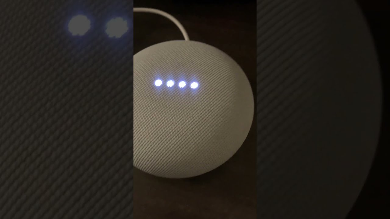 Google Nest Mini And Echo Dot Not Connected To The Internet 