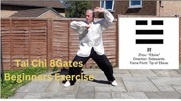 Tai Chi 8 Gates Basic Exercise.