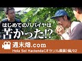 パパイヤ栽培ってどうやるの？売り先は？品種は？