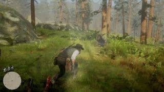 Red Dead Redemption 2 - funny stealth kill bug