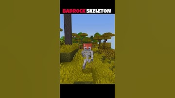 Java Skeleton 🤡 vs Bugrock Skeleton 💀