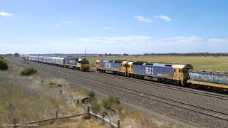 2MA8 Overland Passenger Train Crosses Pacific National 7734V Grain Train (13/11/2023) - PoathTV by PoathTV - Australian Trains 99 views 7 days ago 34 seconds