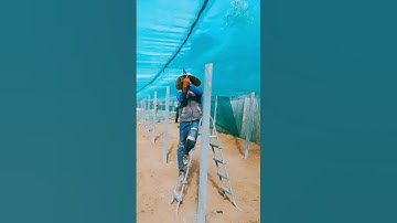 Fence installation operation!! Good Tools and Machines Make Work Easy #Work #shorts #fence