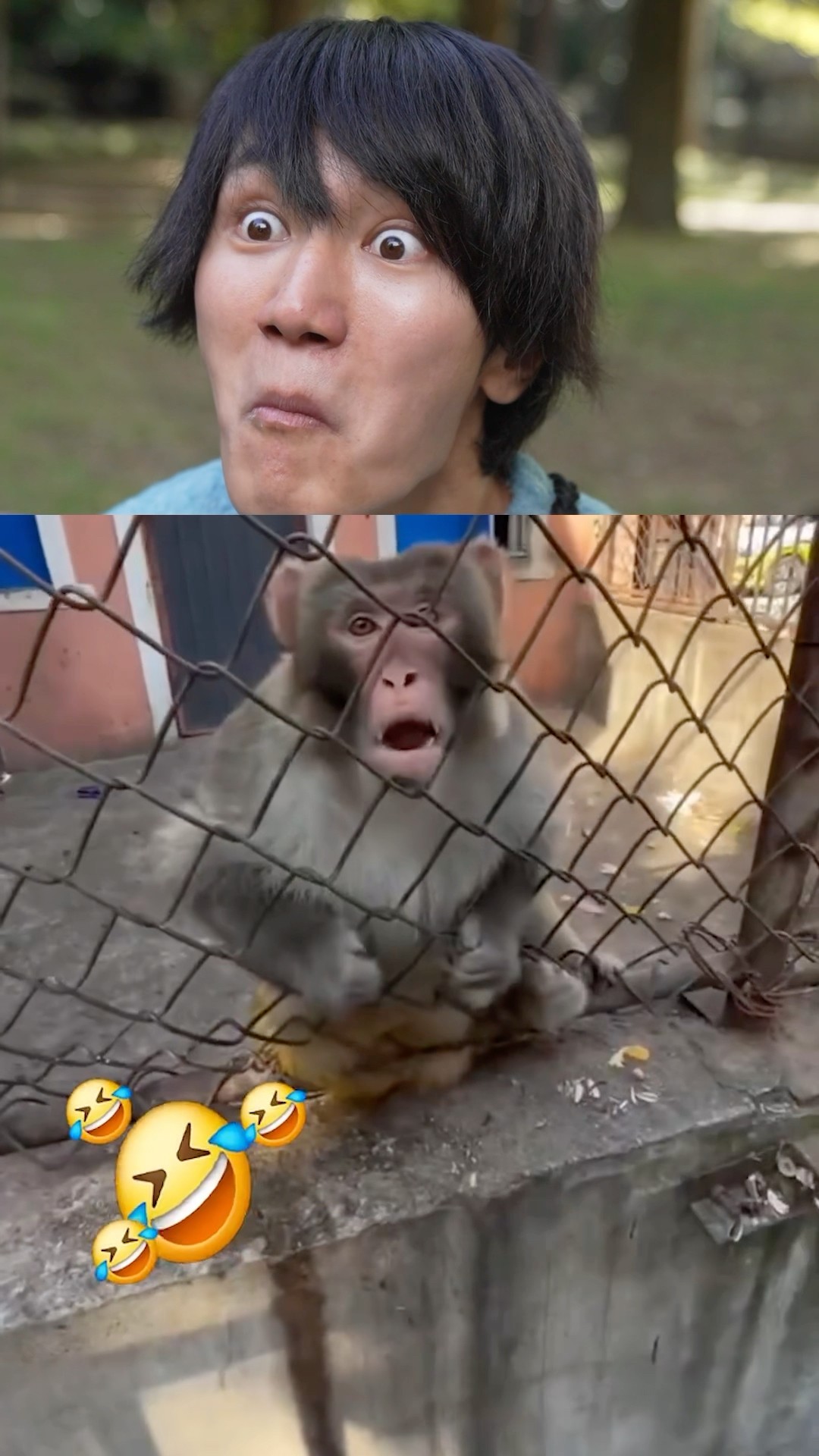 Try not to laugh game!!!